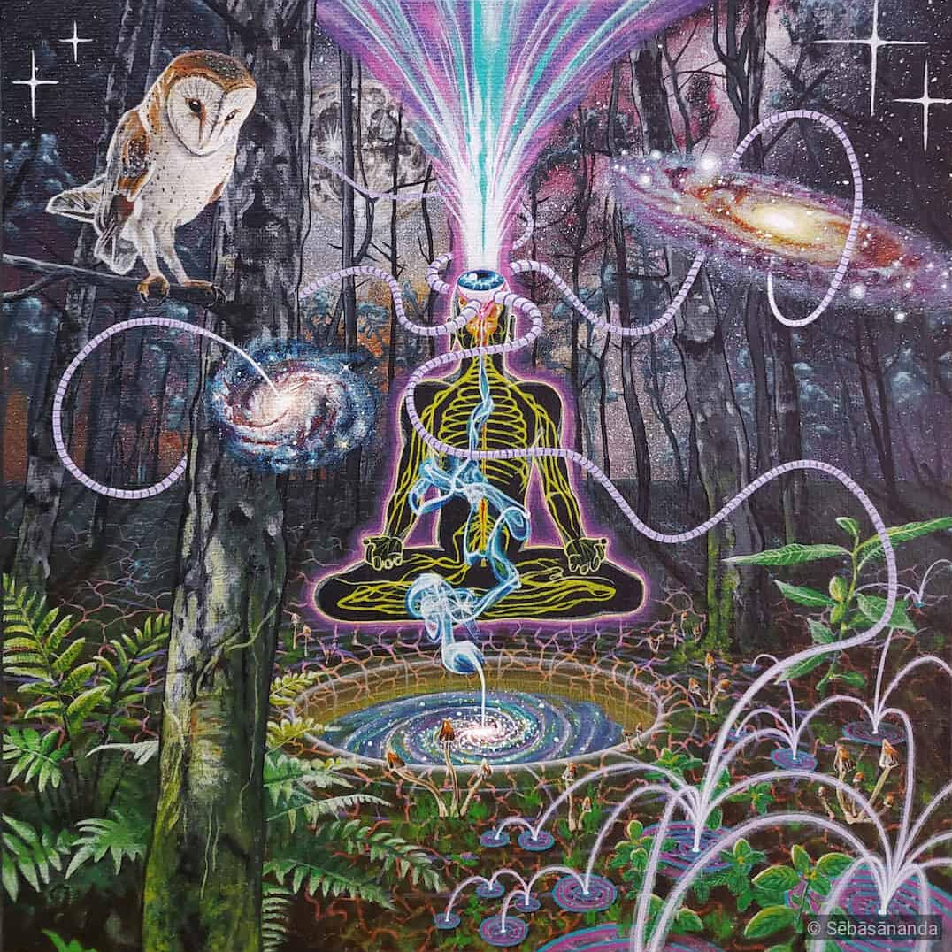 No beginning: Acrylic painting of a meditating figure with energy streams in a forest with an owl, galaxy and glowing plants by Sēbāsānanda