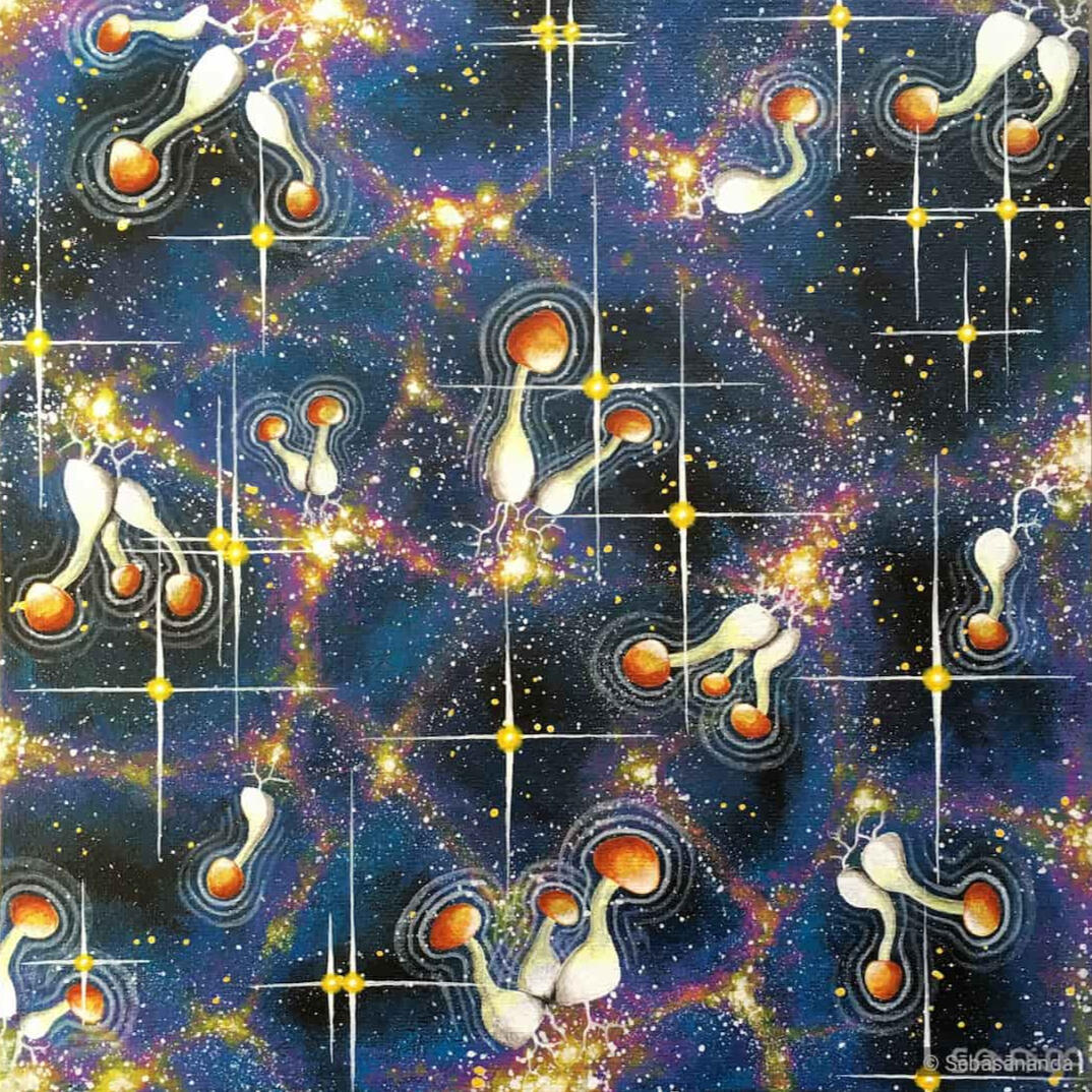 Acrylic painting of floating orange and white shrooms in a starry cosmic network grid by Sēbāsānanda
